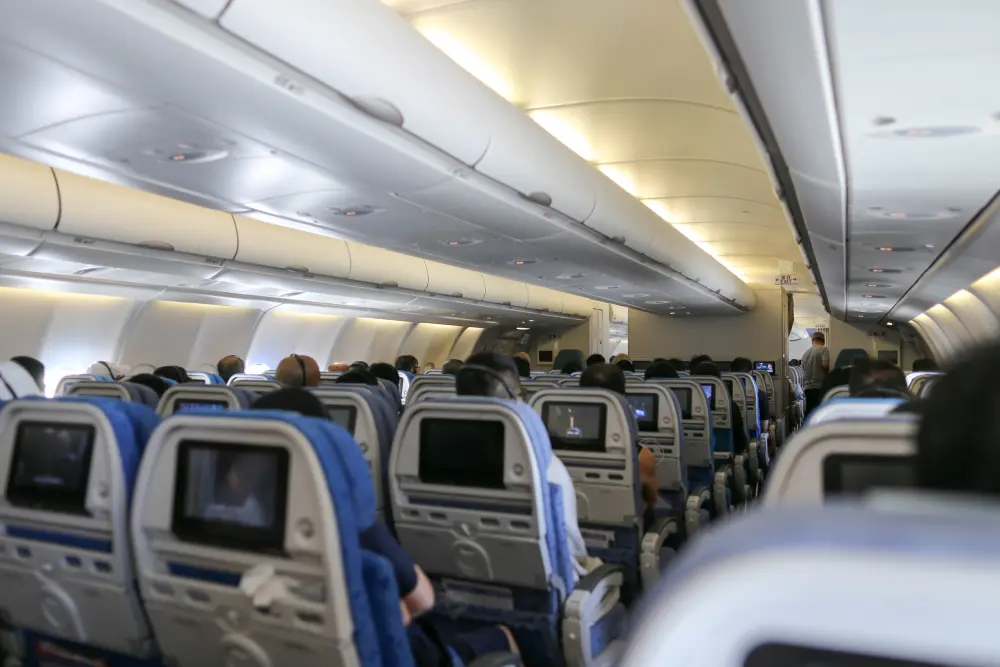 Air Passenger